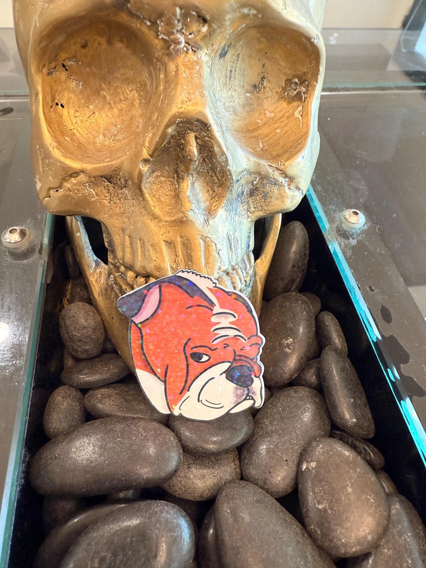 Bulldog side eye sticker