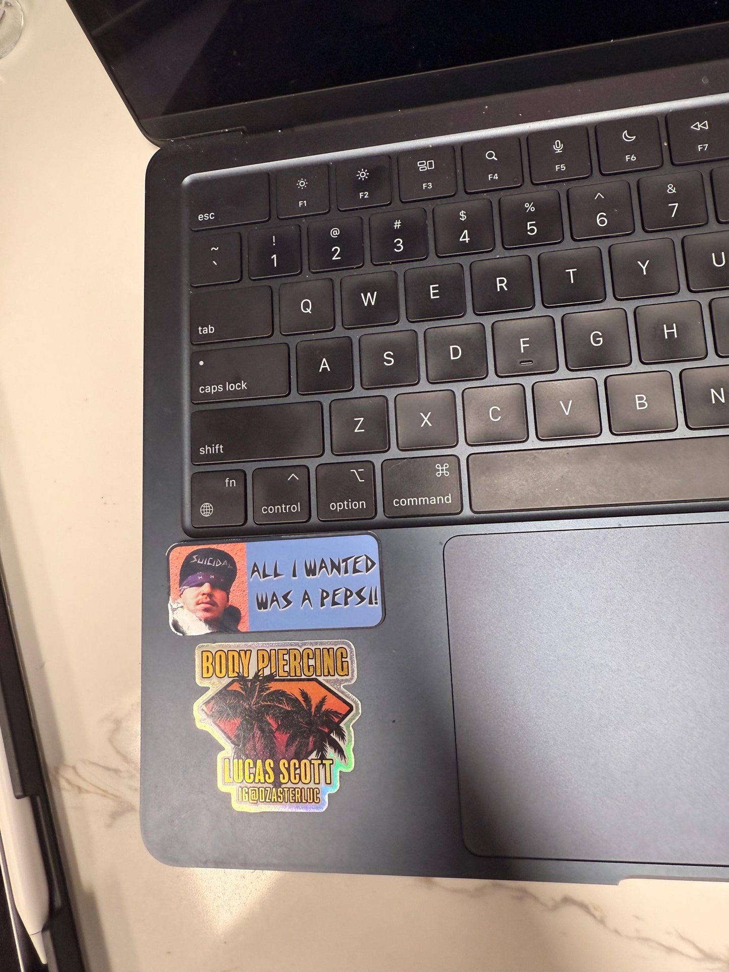 All I wanted was a Pepsi. Suicidal Tendencies punk rock sticker. Laminated for outdoor use. Vinyl sticker. Also part of the music quote 12pc