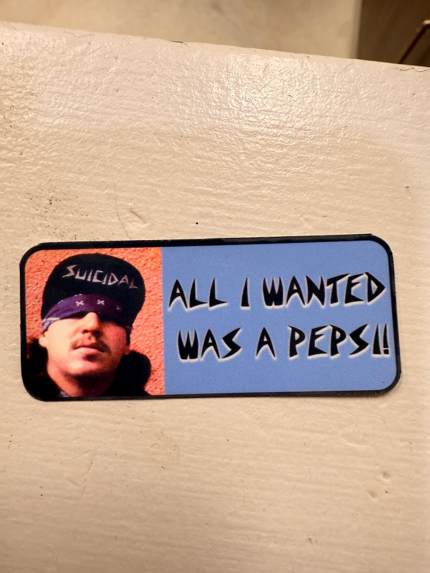 All I wanted was a Pepsi. Suicidal Tendencies punk rock sticker. Laminated for outdoor use. Vinyl sticker. Also part of the music quote 12pc