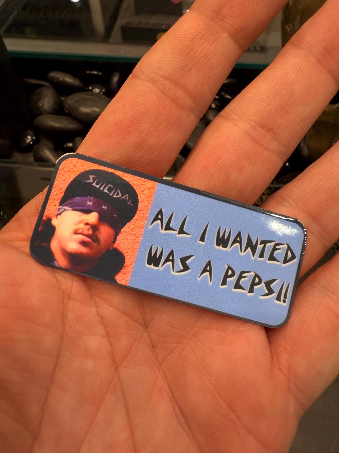 All I wanted was a Pepsi. Suicidal Tendencies punk rock sticker. Laminated for outdoor use. Vinyl sticker. Also part of the music quote 12pc